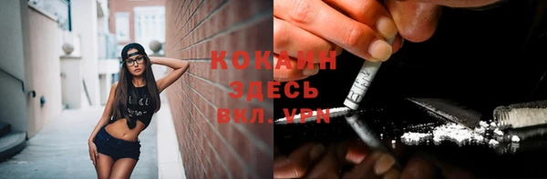 бошки Инта