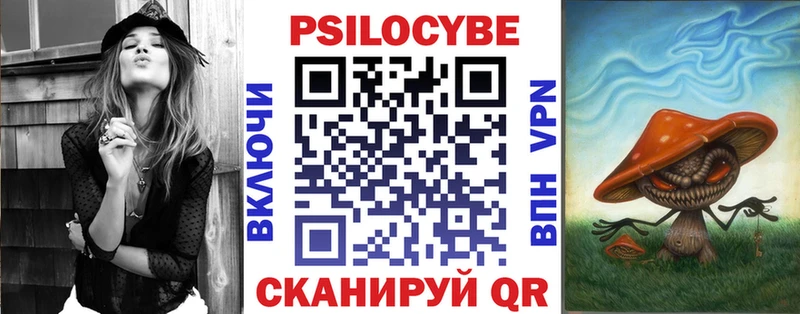 купить   Злынка  Псилоцибиновые грибы Psilocybine cubensis 